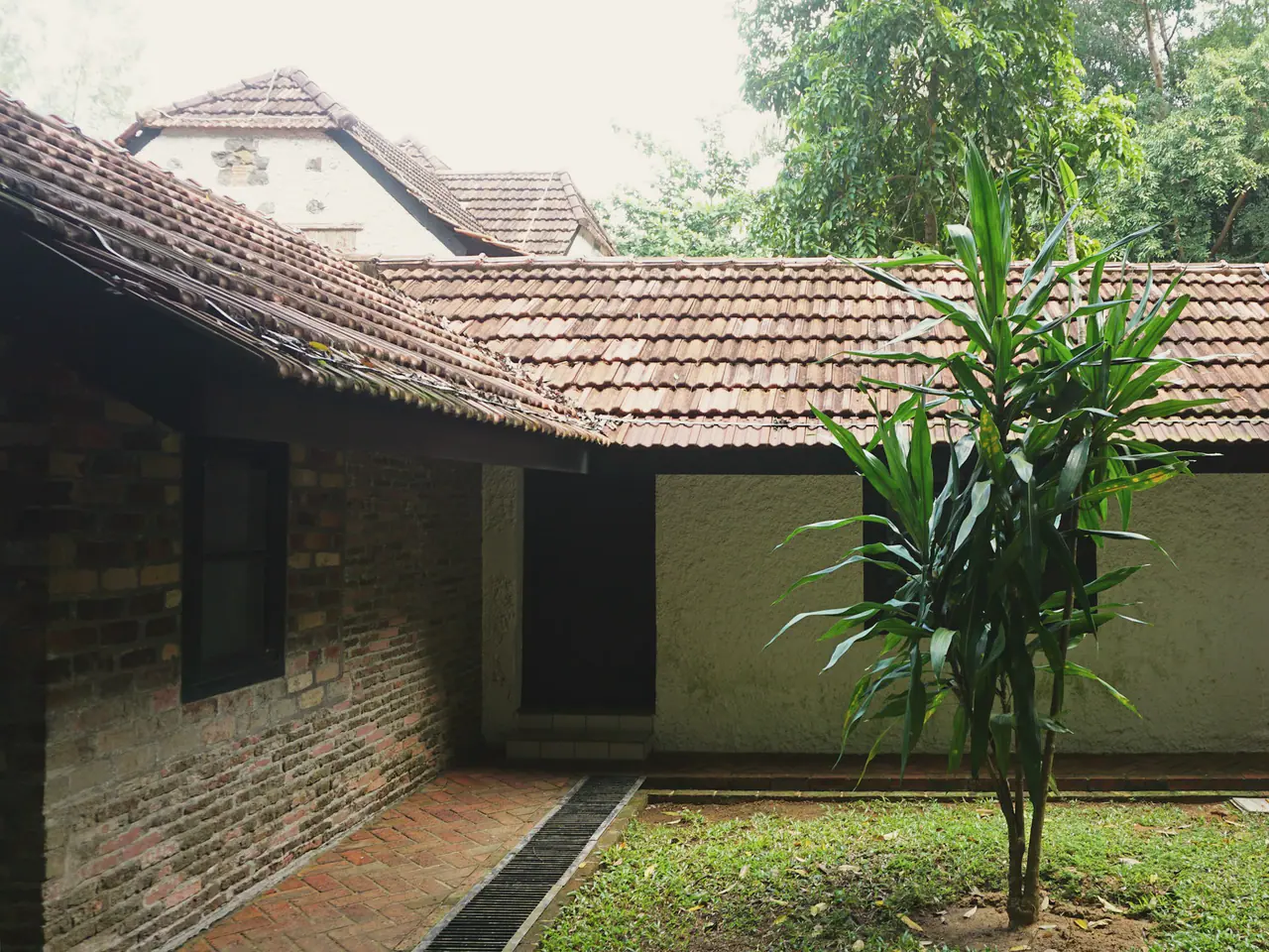 Flowering courtyard garden