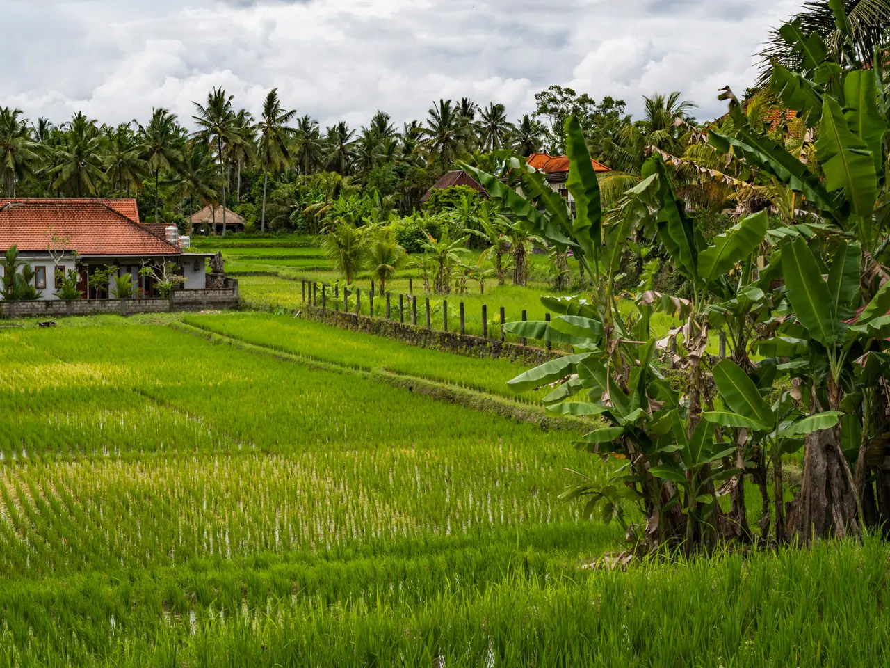 Rice Terrace Villa
